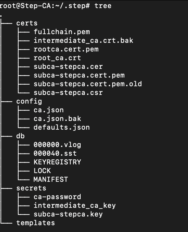 Capture configuration PKI